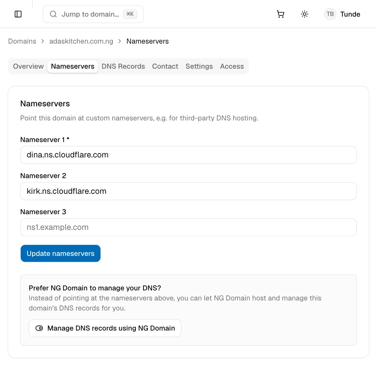 The Nameservers tab with two Cloudflare nameservers entered and an Update nameservers button