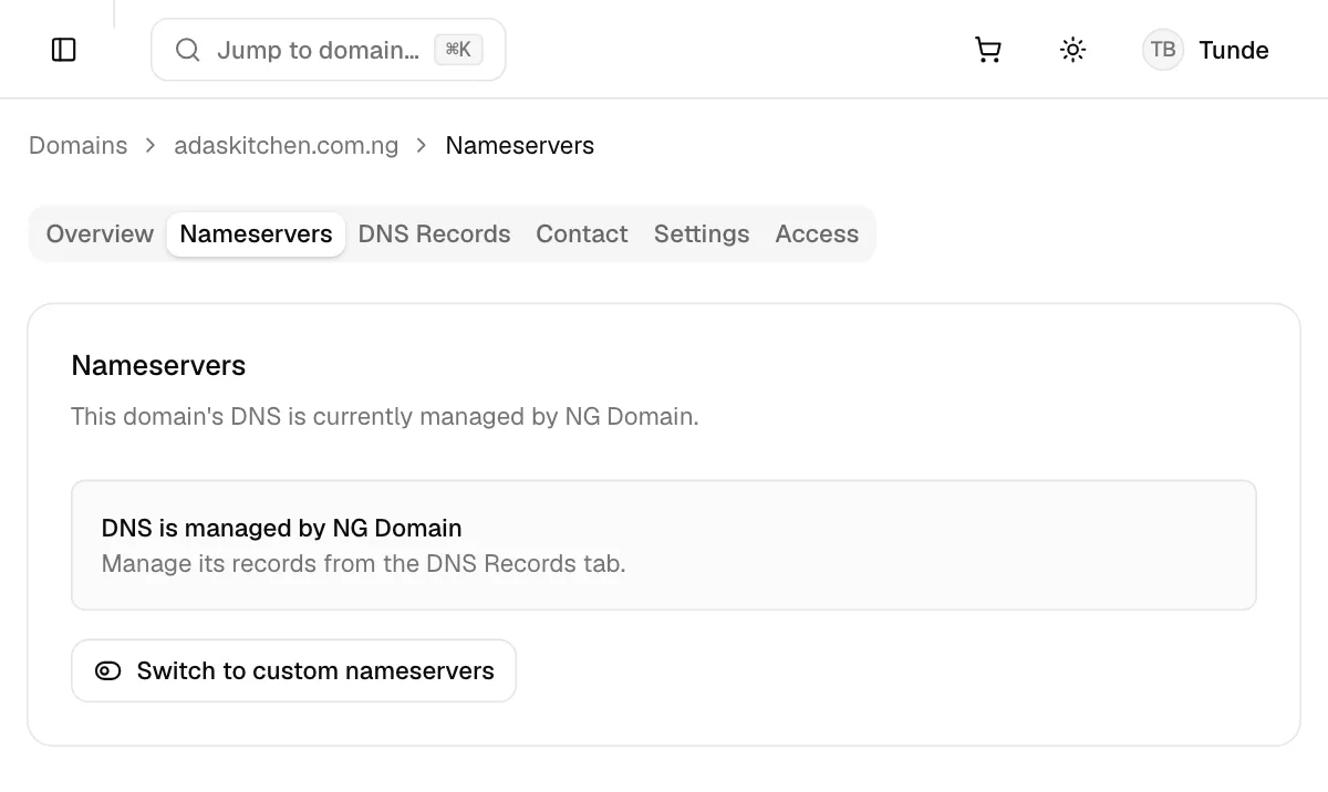 The Nameservers tab saying DNS is managed by NG Domain, with a Switch to custom nameservers button